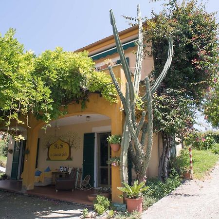 B&B La Casa Dei Gelsi Loano Dış mekan fotoğraf